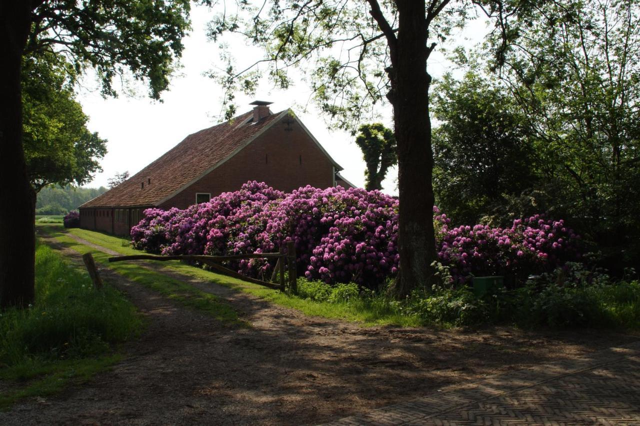Huis Eedingh Onstwedde Exterior photo